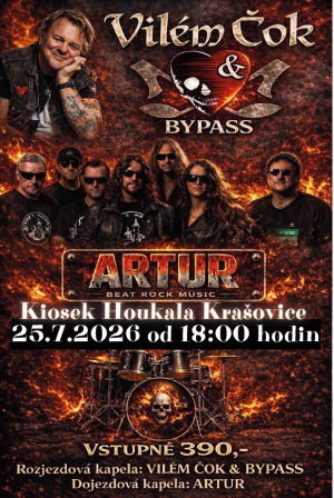 koncert rockové hudby